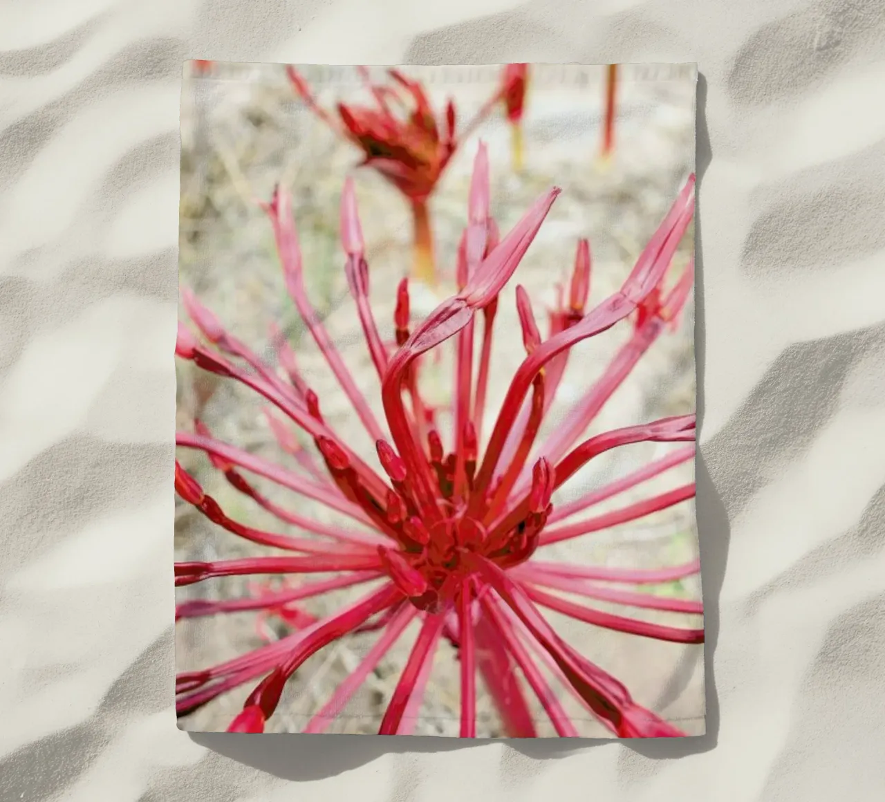 Fire Bulb telo mare da Shot By Clint