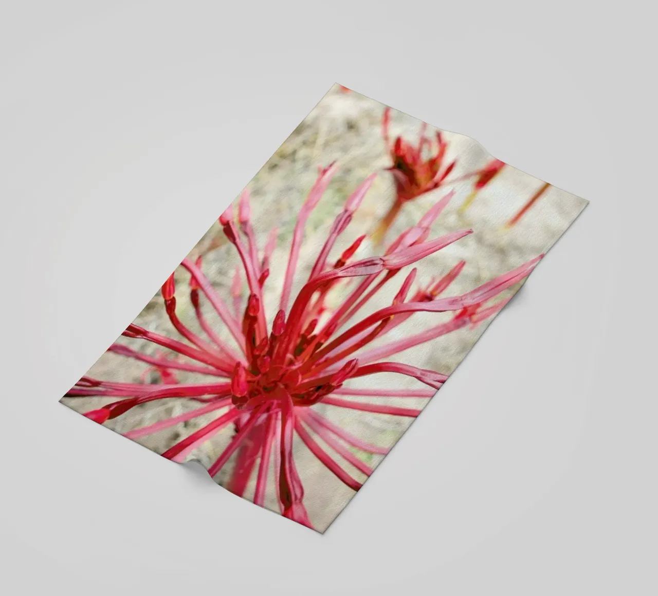 Fire Bulb telo mare da Shot By Clint