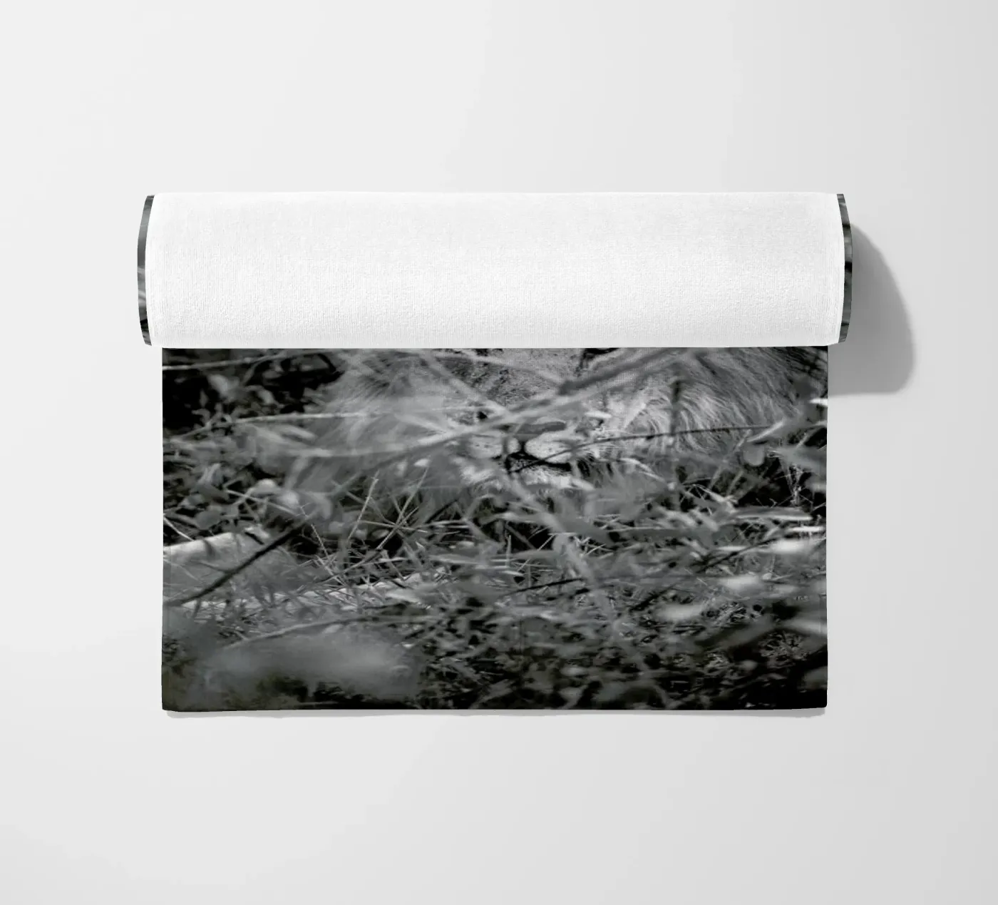 Lion telo mare da Shot By Clint