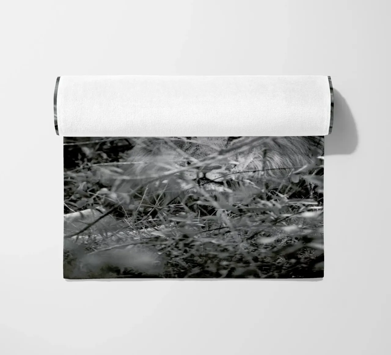 Lion telo mare da Shot By Clint