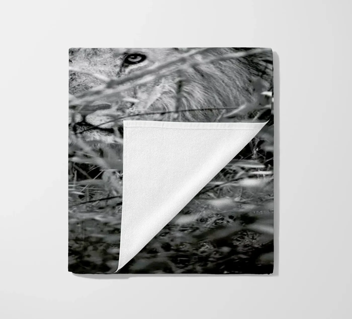 Lion telo mare da Shot By Clint