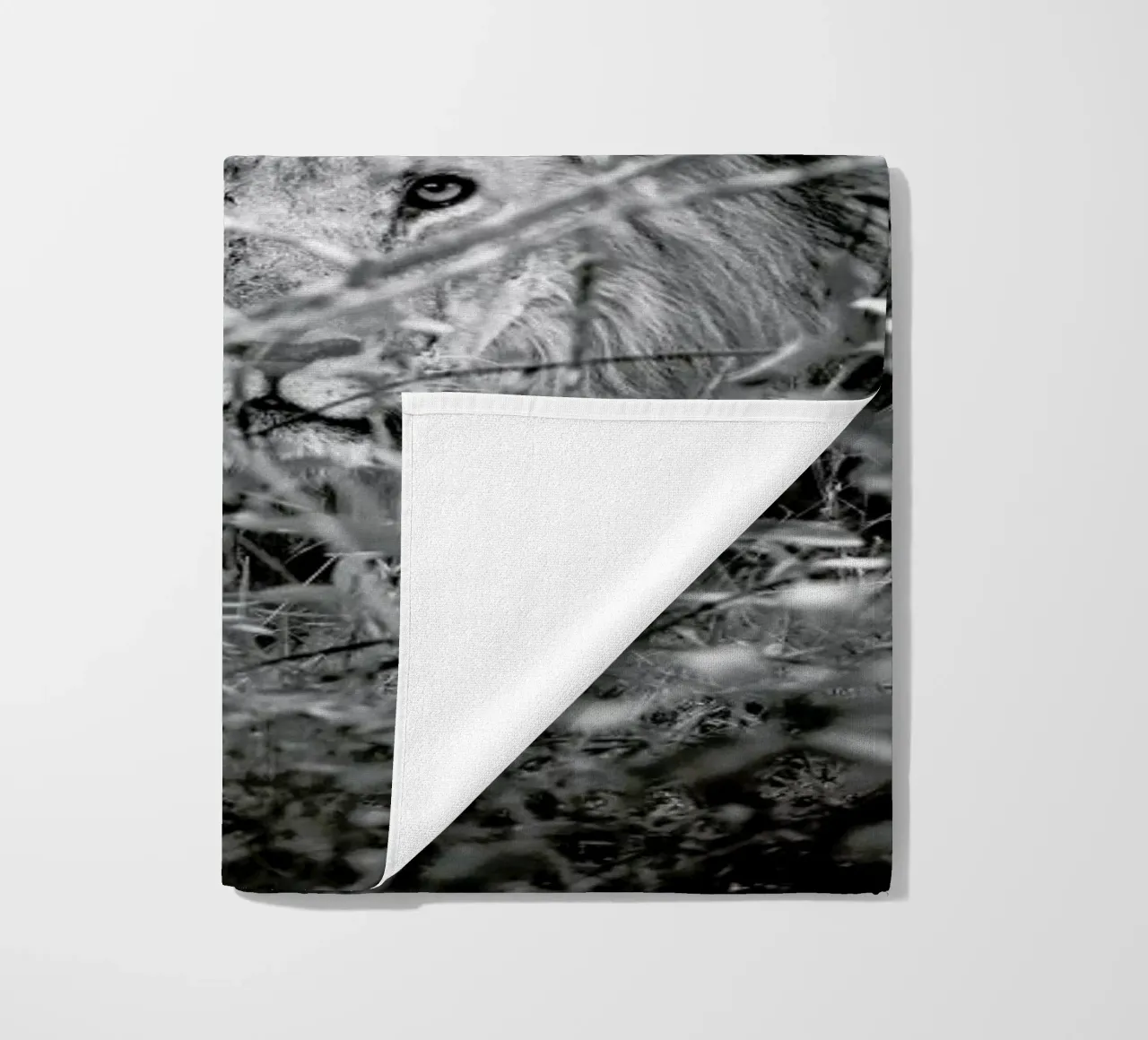 Lion telo mare da Shot By Clint