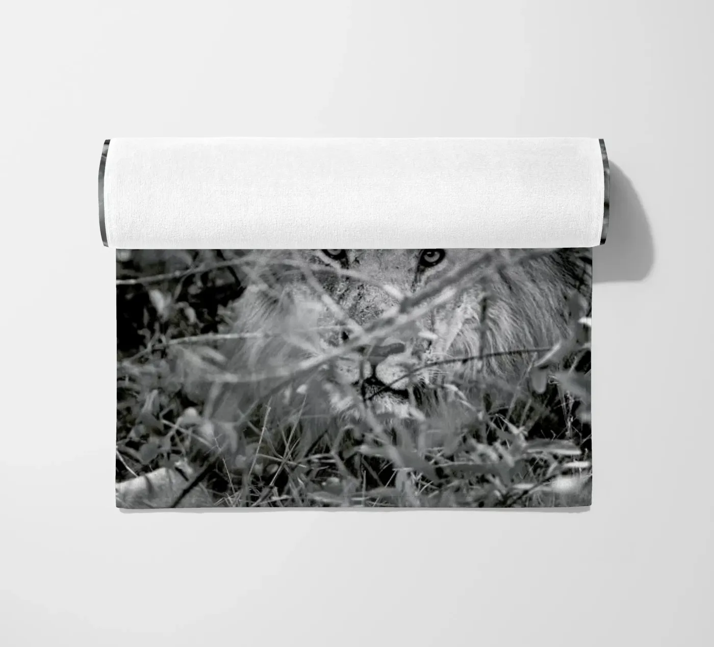 Lion telo mare da Shot By Clint