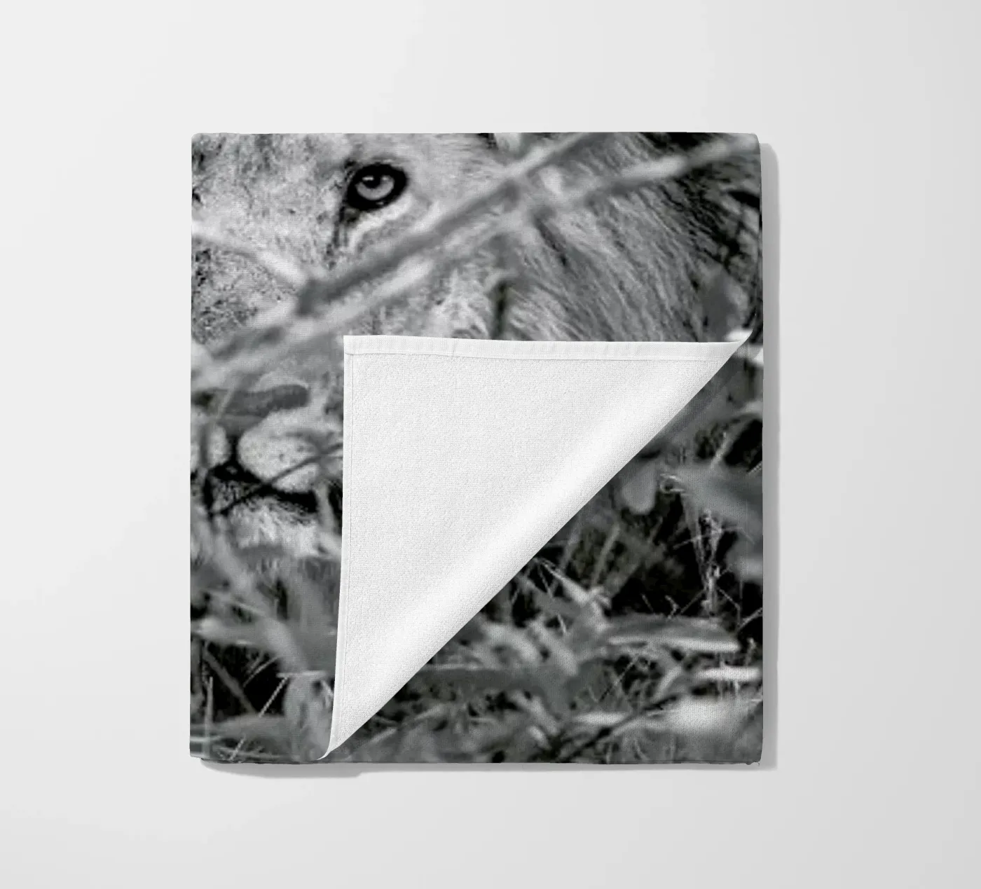 Lion telo mare da Shot By Clint