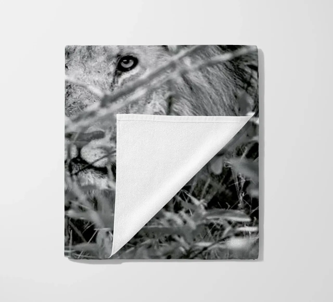 Lion telo mare da Shot By Clint