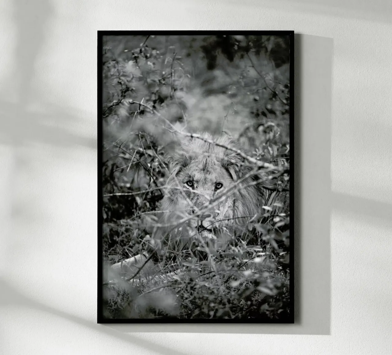 Lion poster van Shot By Clint