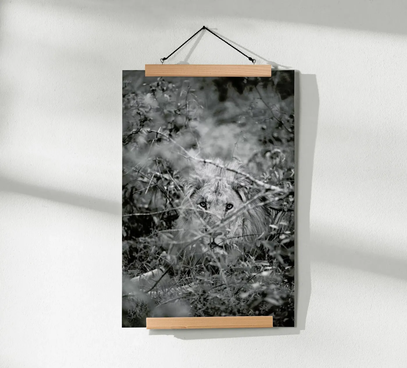 Lion poster van Shot By Clint