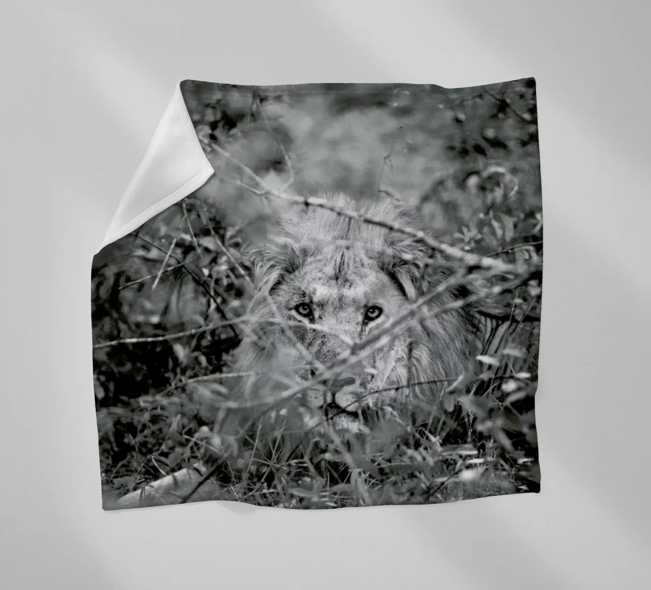 Lion coperta in pile da Shot By Clint