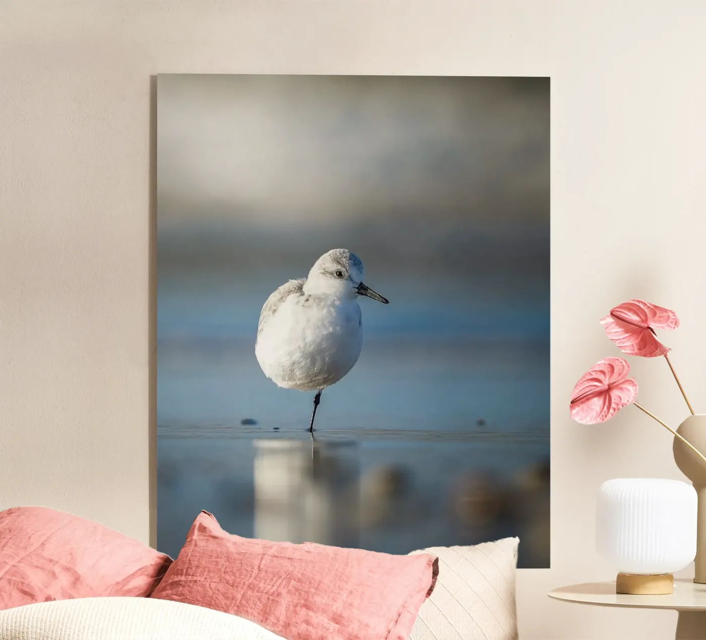 Sanderling plexiglas de Tom's Wildlife