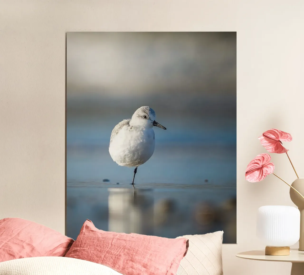 Sanderling poster da Tom's Wildlife