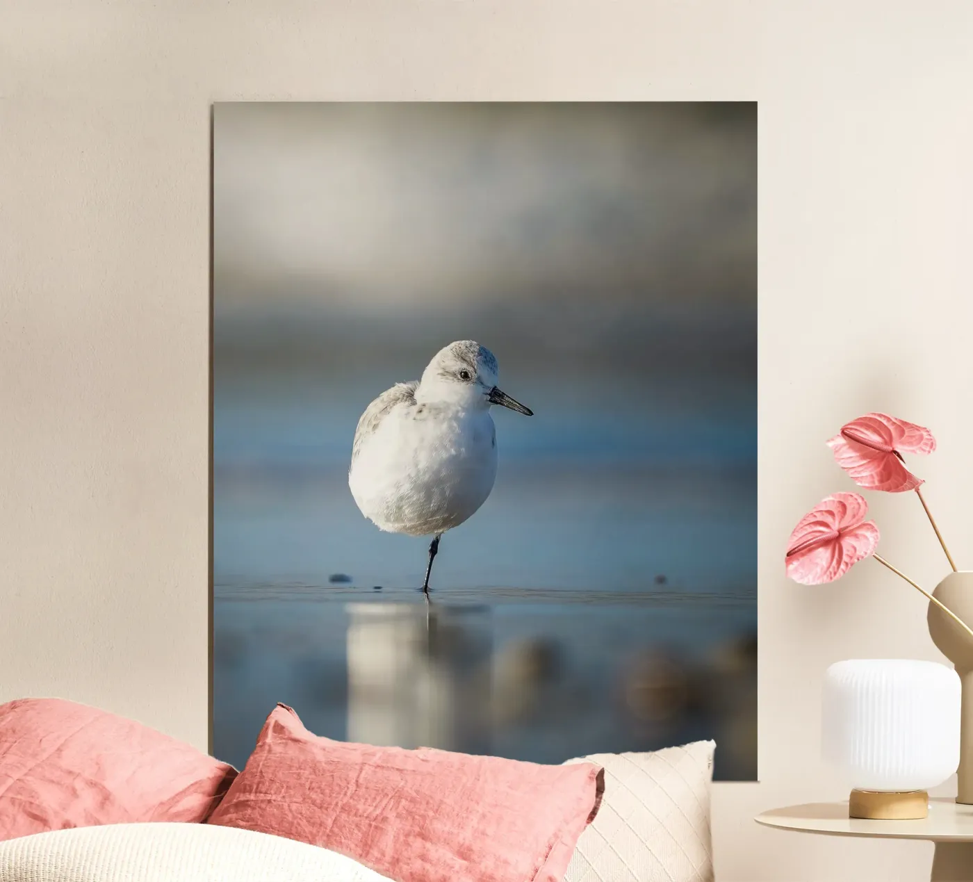 Sanderling Poster von Tom's Wildlife