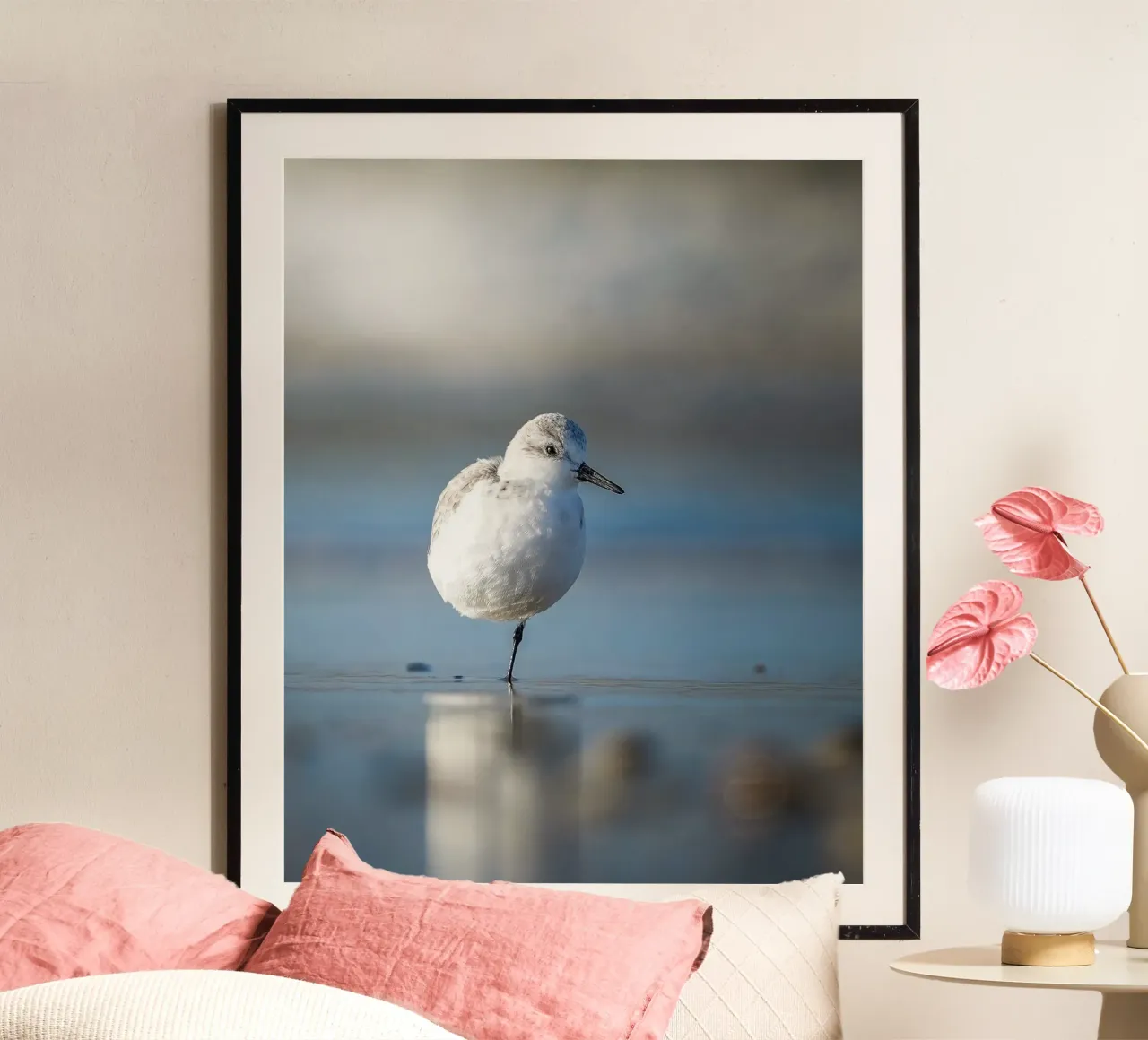 Sanderling poster da Tom's Wildlife