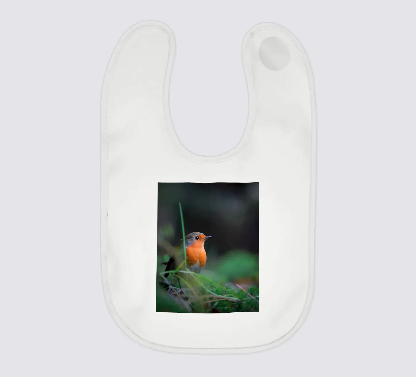 Robin bavoir de Tom's Wildlife