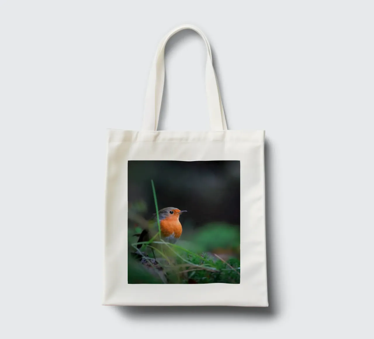 Robin tote bag by Tom's Wildlife