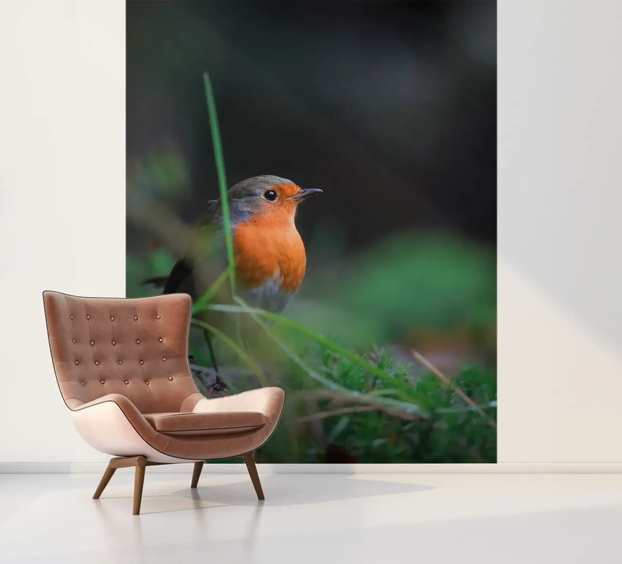 Robin fotobehang van Tom's Wildlife