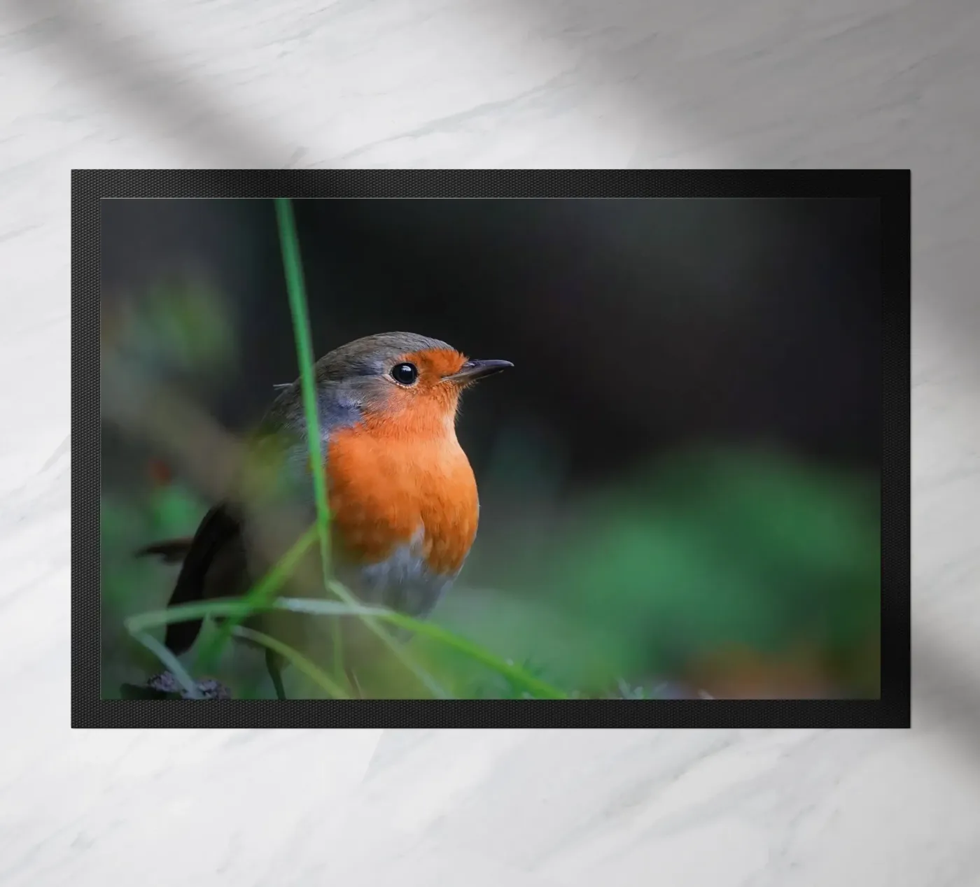 Robin Fußmatte von Tom's Wildlife