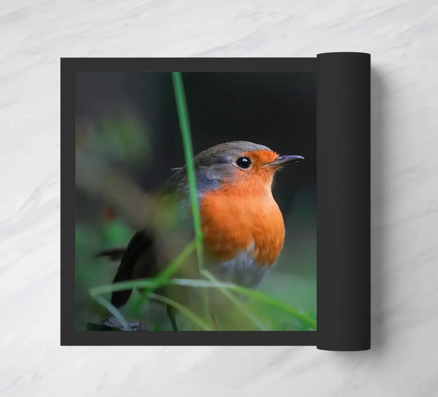 Robin Fußmatte von Tom's Wildlife