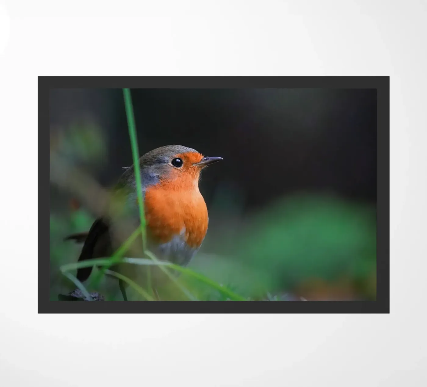 Robin Fußmatte von Tom's Wildlife