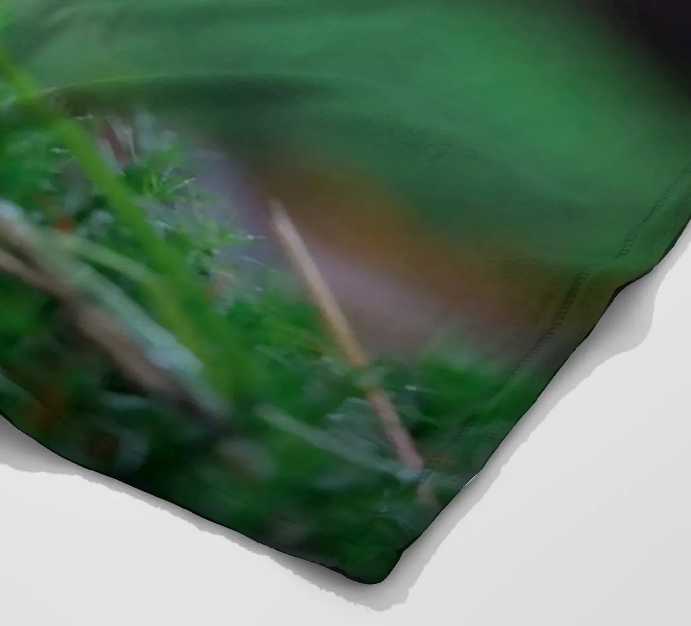 Robin coperta in pile da Tom's Wildlife