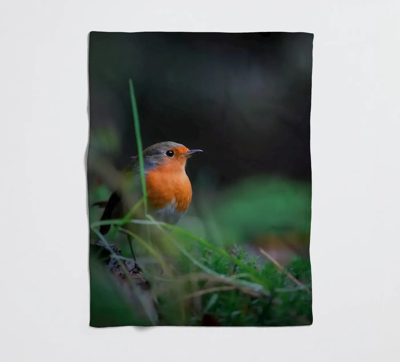 Robin fleecedeken van Tom's Wildlife