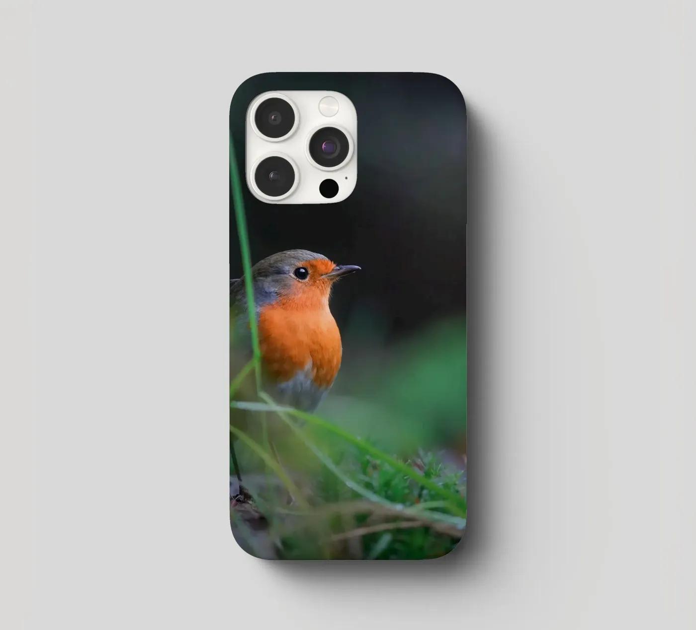 Robin cover iphone da Tom's Wildlife