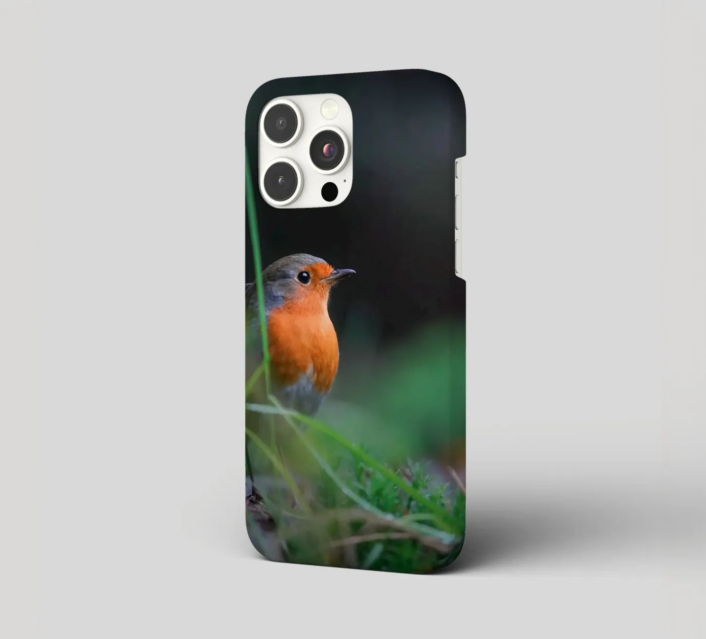 Robin cover iphone da Tom's Wildlife