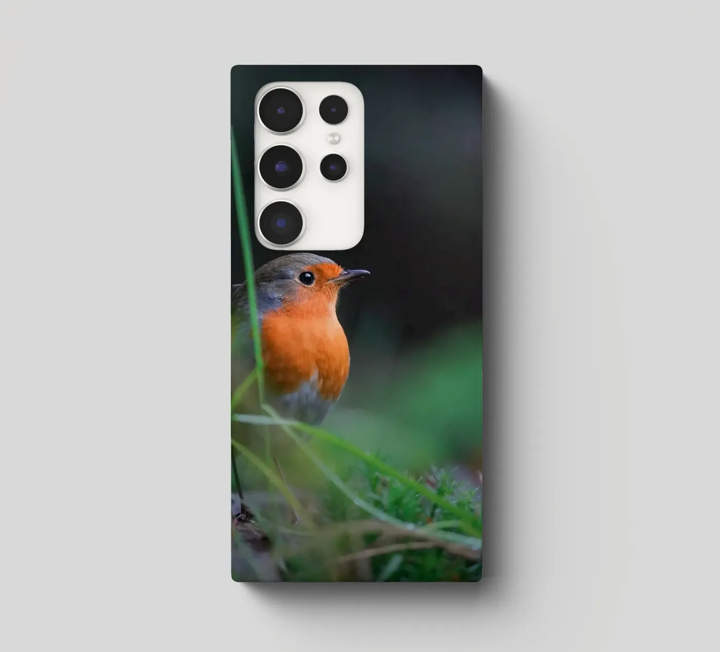 Robin samsung hoesje van Tom's Wildlife