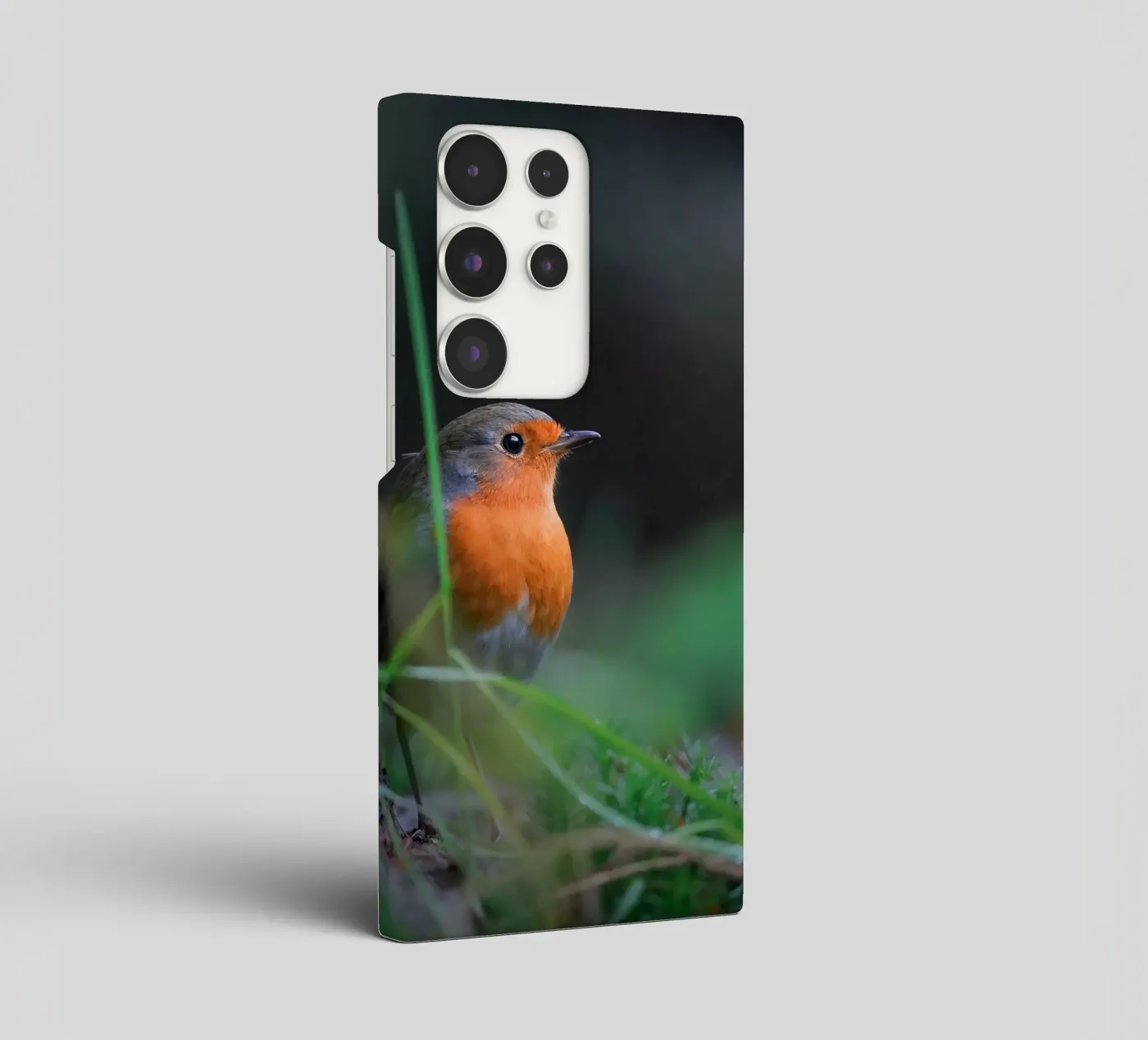 Robin samsung hoesje van Tom's Wildlife