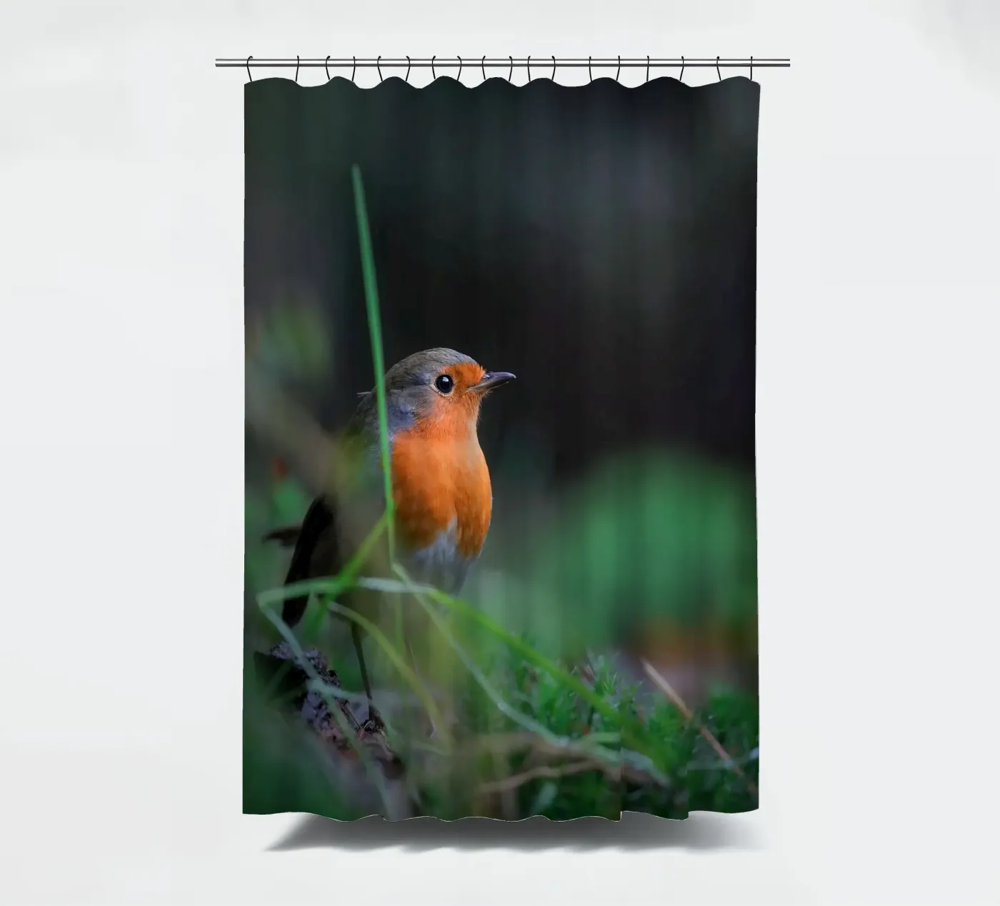 Robin shower curtain by Tom's Wildlife