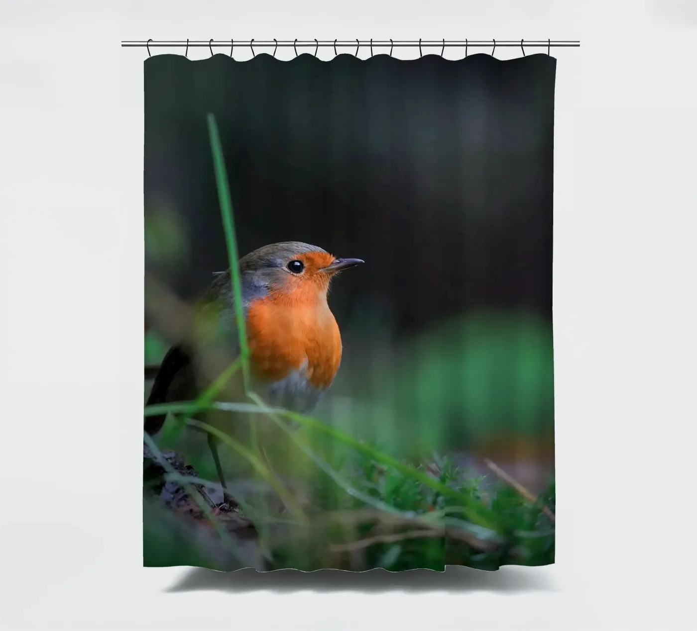 Robin shower curtain by Tom's Wildlife