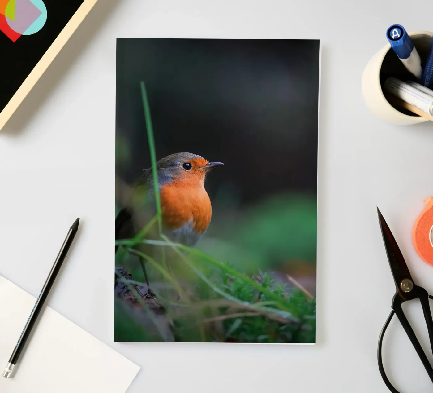 Robin notebook by Tom's Wildlife