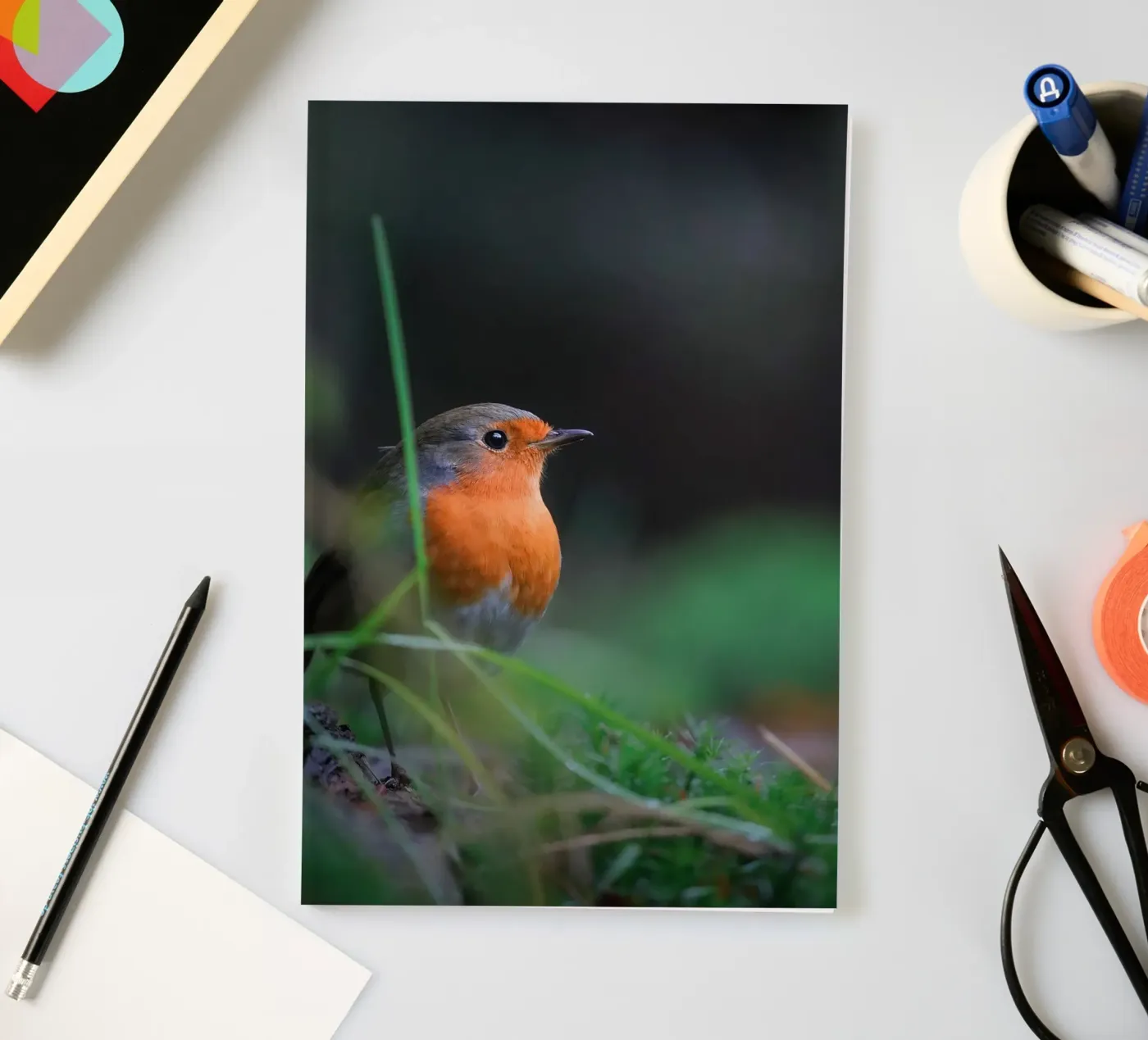 Robin notebook by Tom's Wildlife