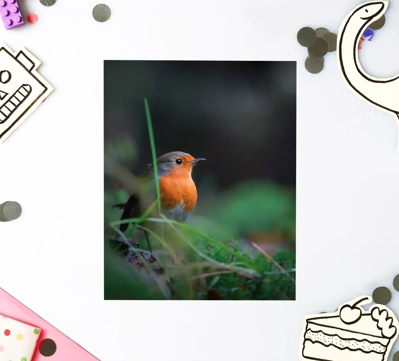 Robin Sticker von Tom's Wildlife