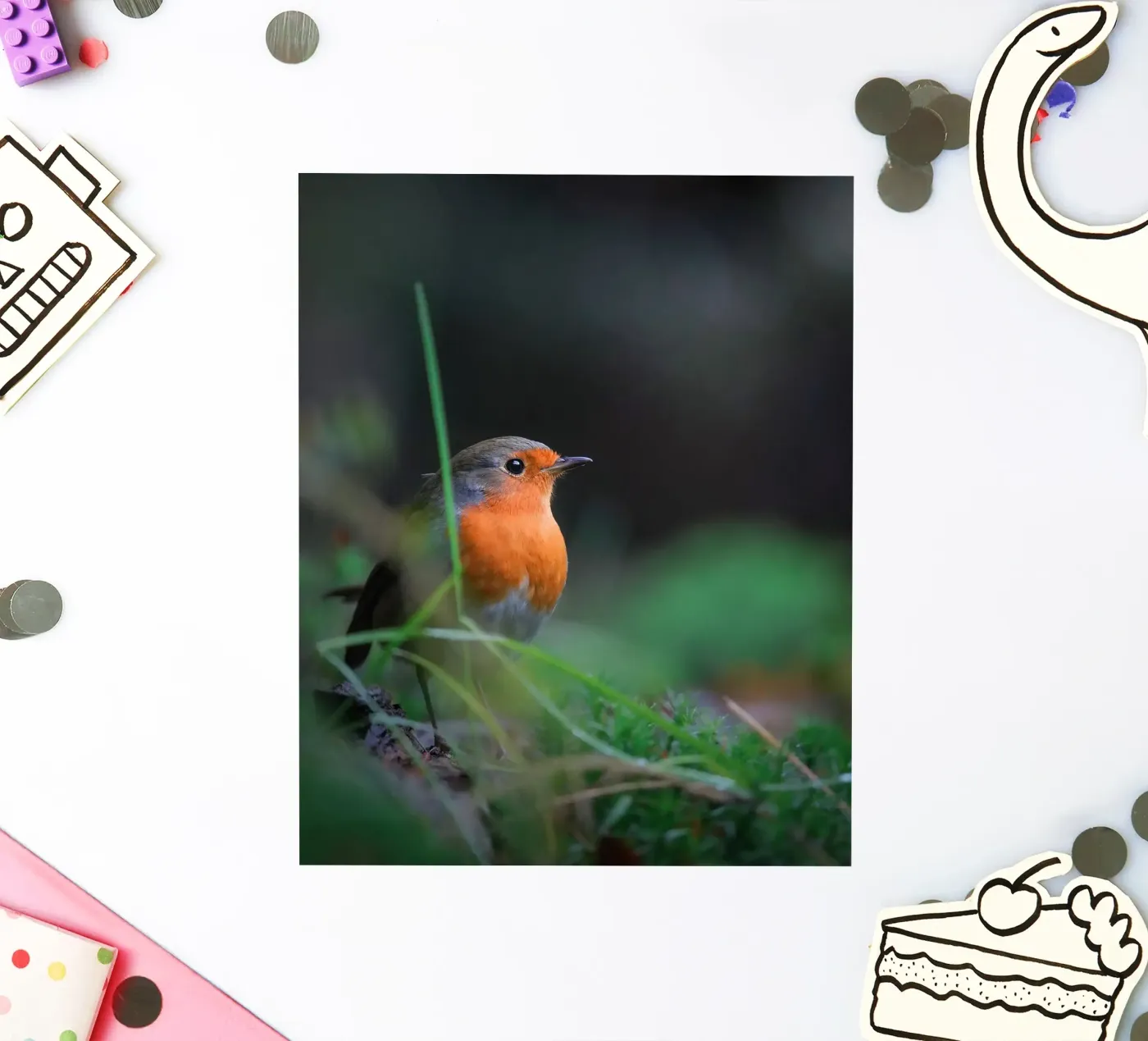 Robin sticker van Tom's Wildlife
