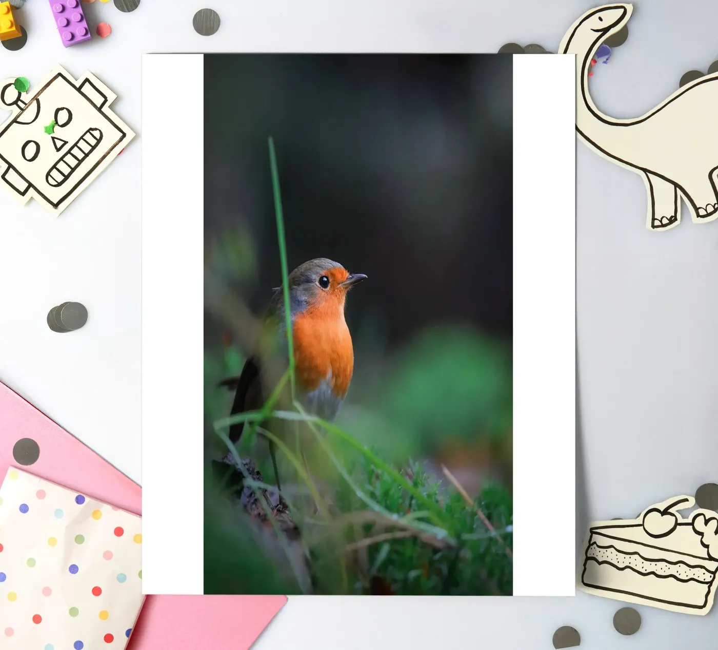 Robin sticker sheet by Tom's Wildlife