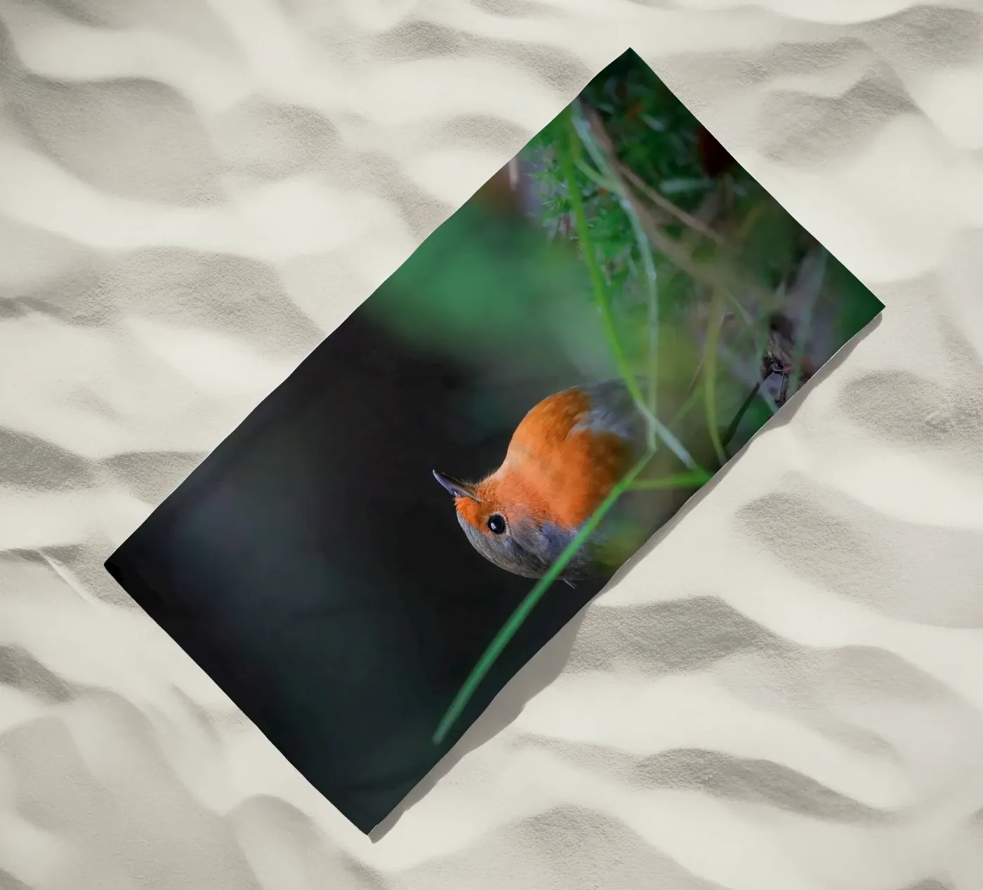 Robin beach towel by Tom's Wildlife