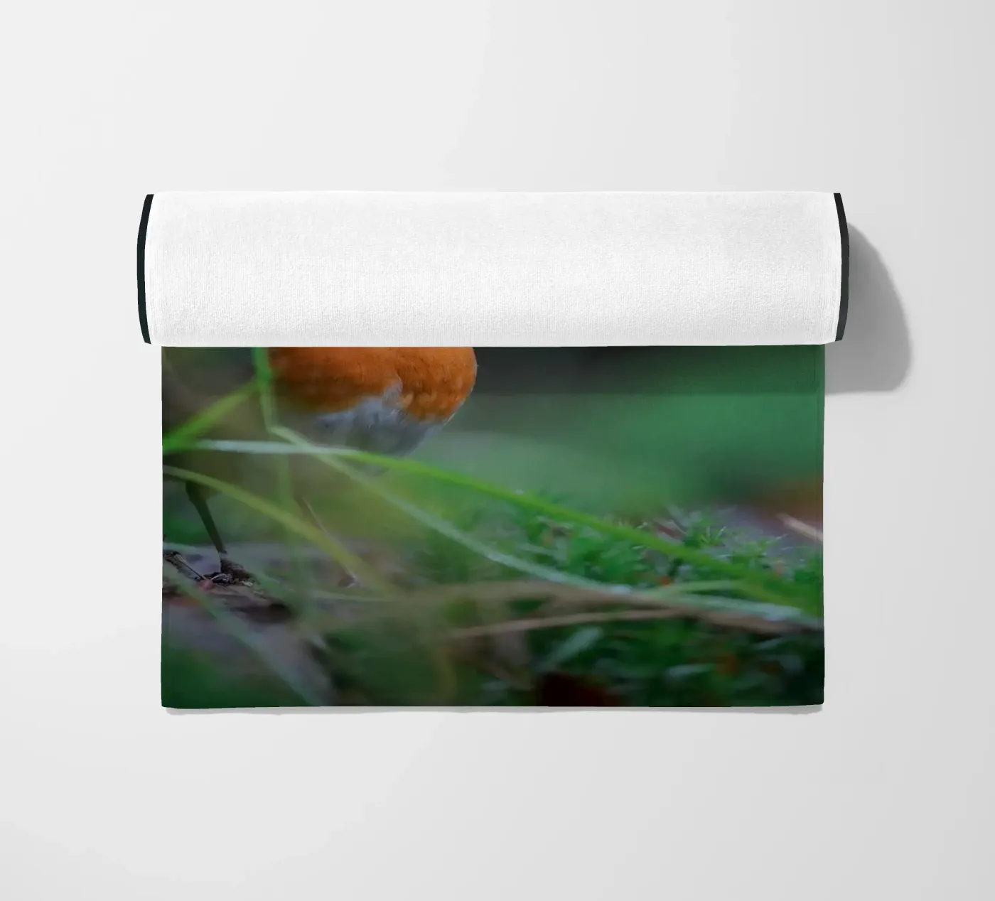 Robin beach towel by Tom's Wildlife