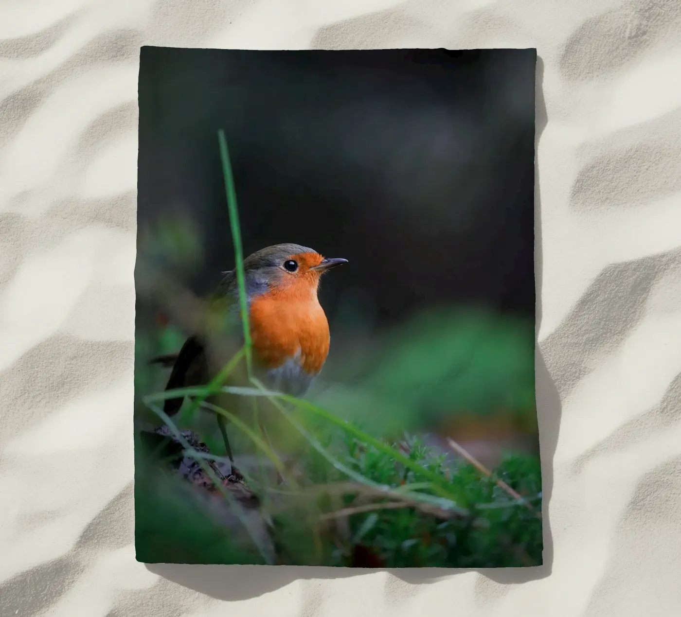 Robin des Bois serviette de plage de Tom's Wildlife