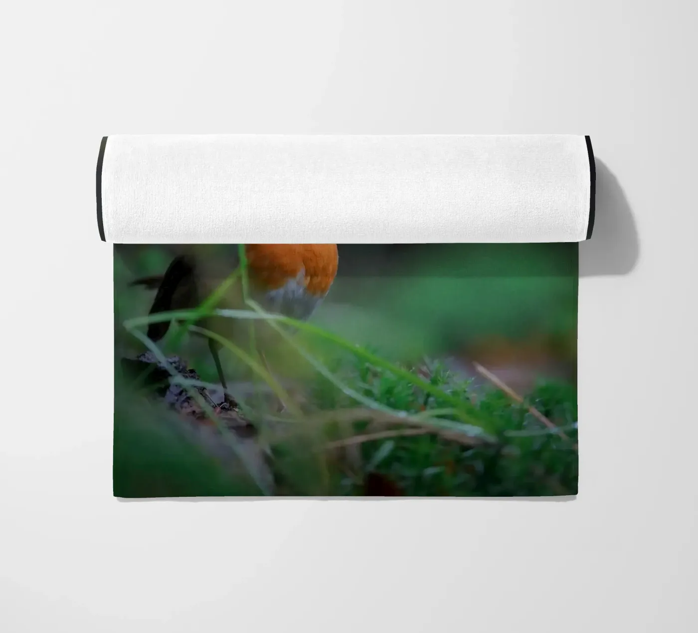 Robin beach towel by Tom's Wildlife