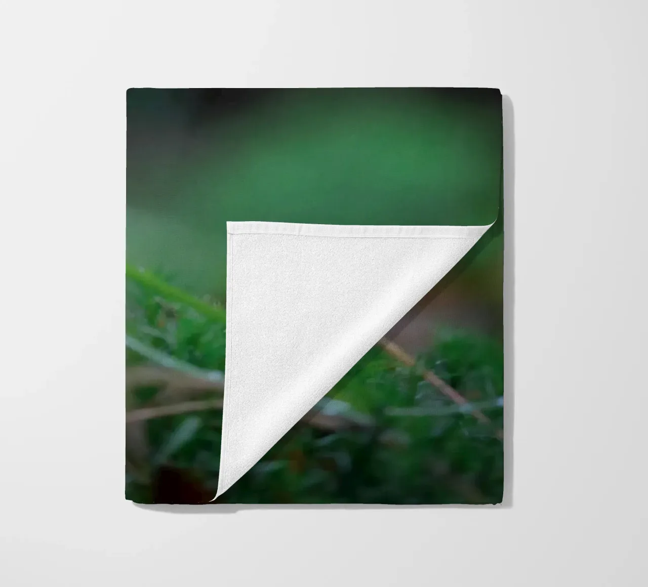 Robin telo mare da Tom's Wildlife