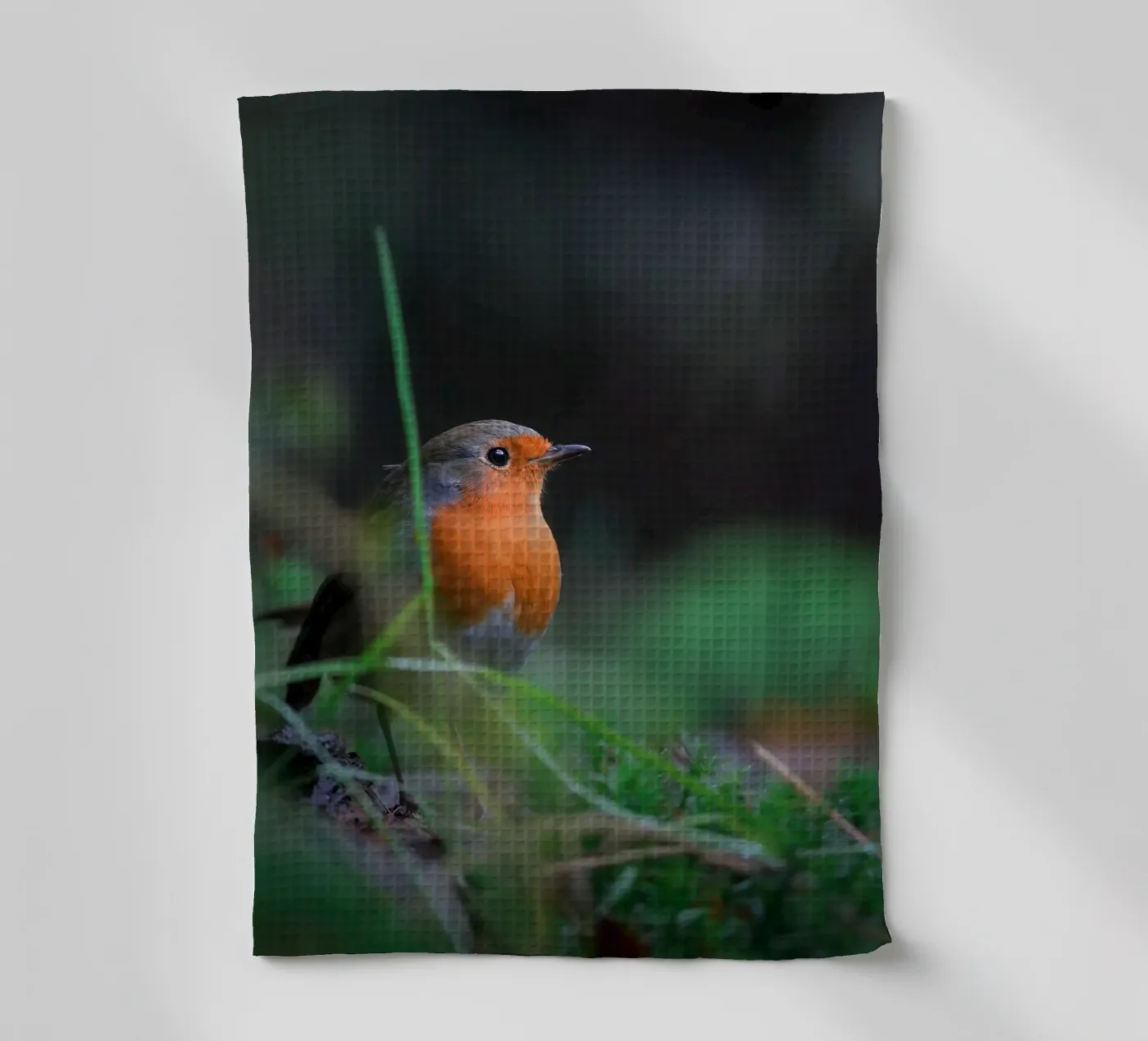 Robin theedoek van Tom's Wildlife