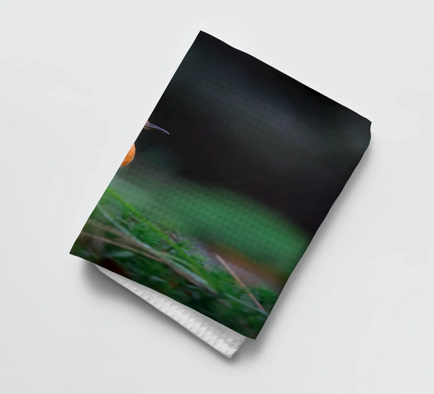 Robin theedoek van Tom's Wildlife