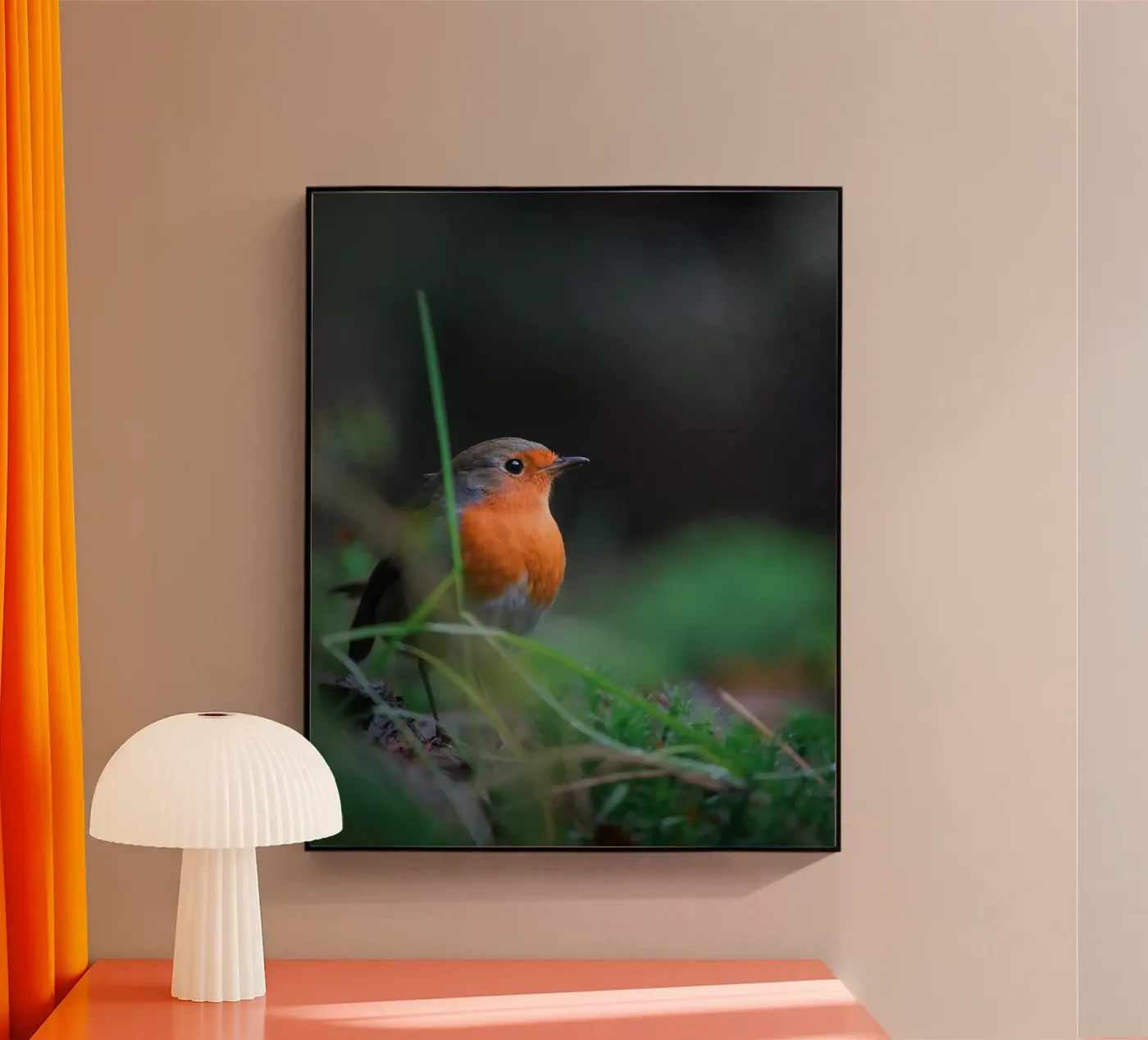 Robin Acryl-Glas von Tom's Wildlife