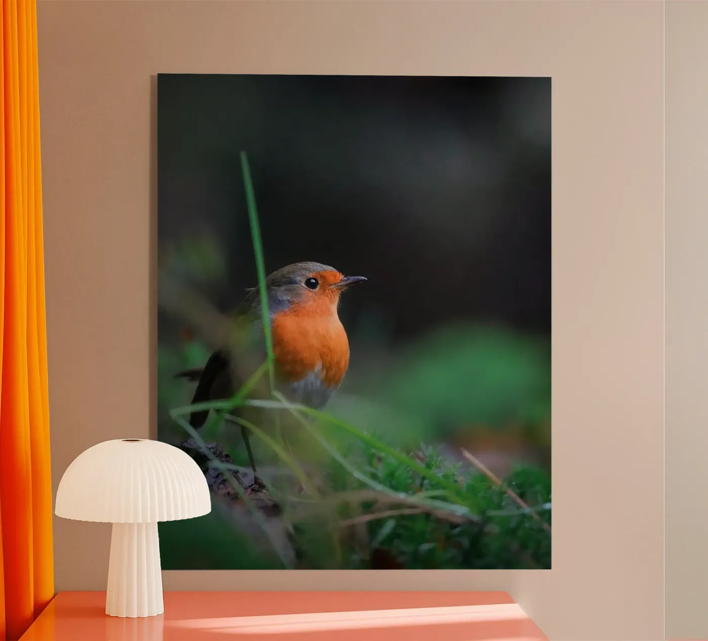 Robin Acryl-Glas von Tom's Wildlife