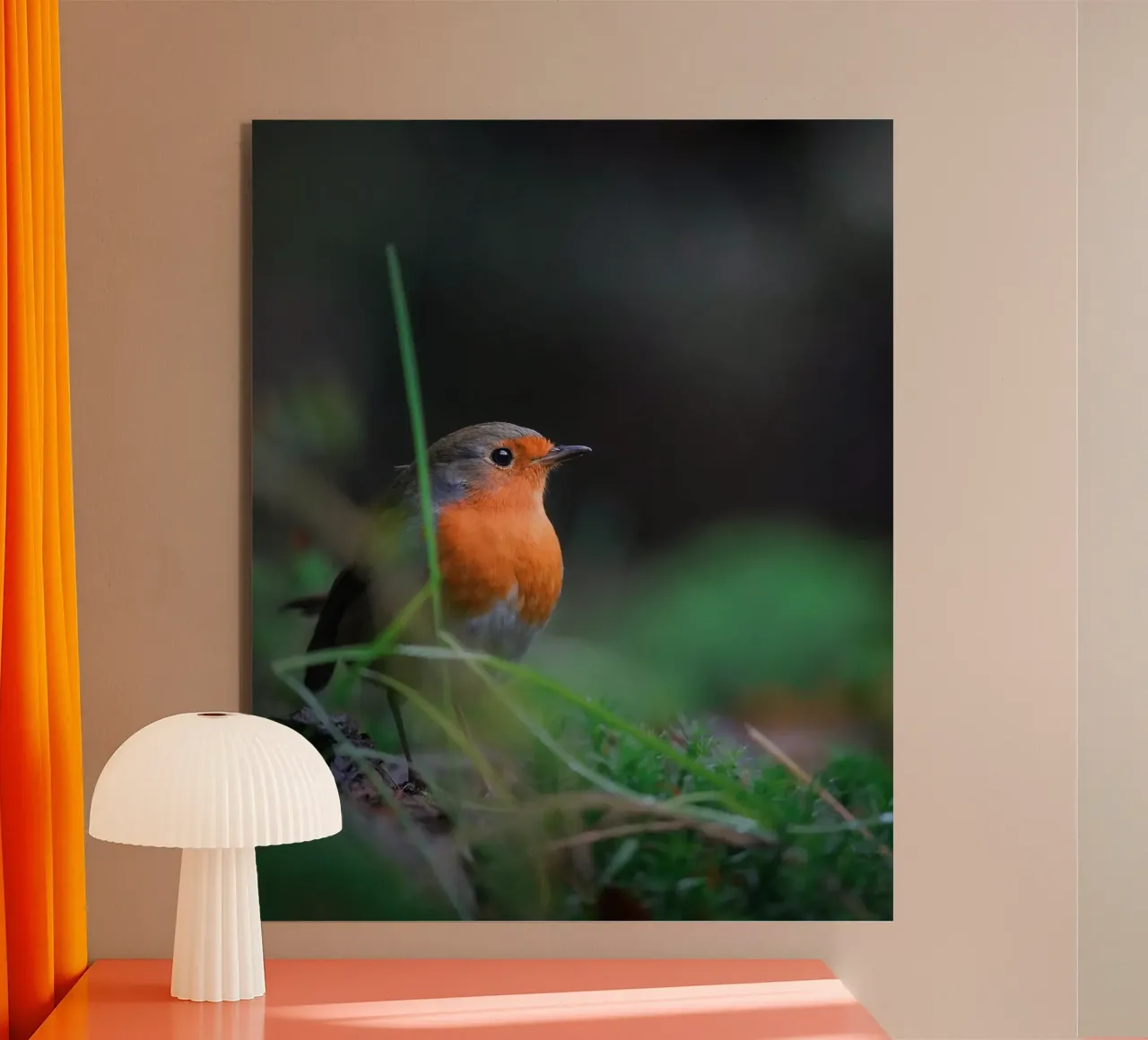 Robin alluminio dibond da Tom's Wildlife