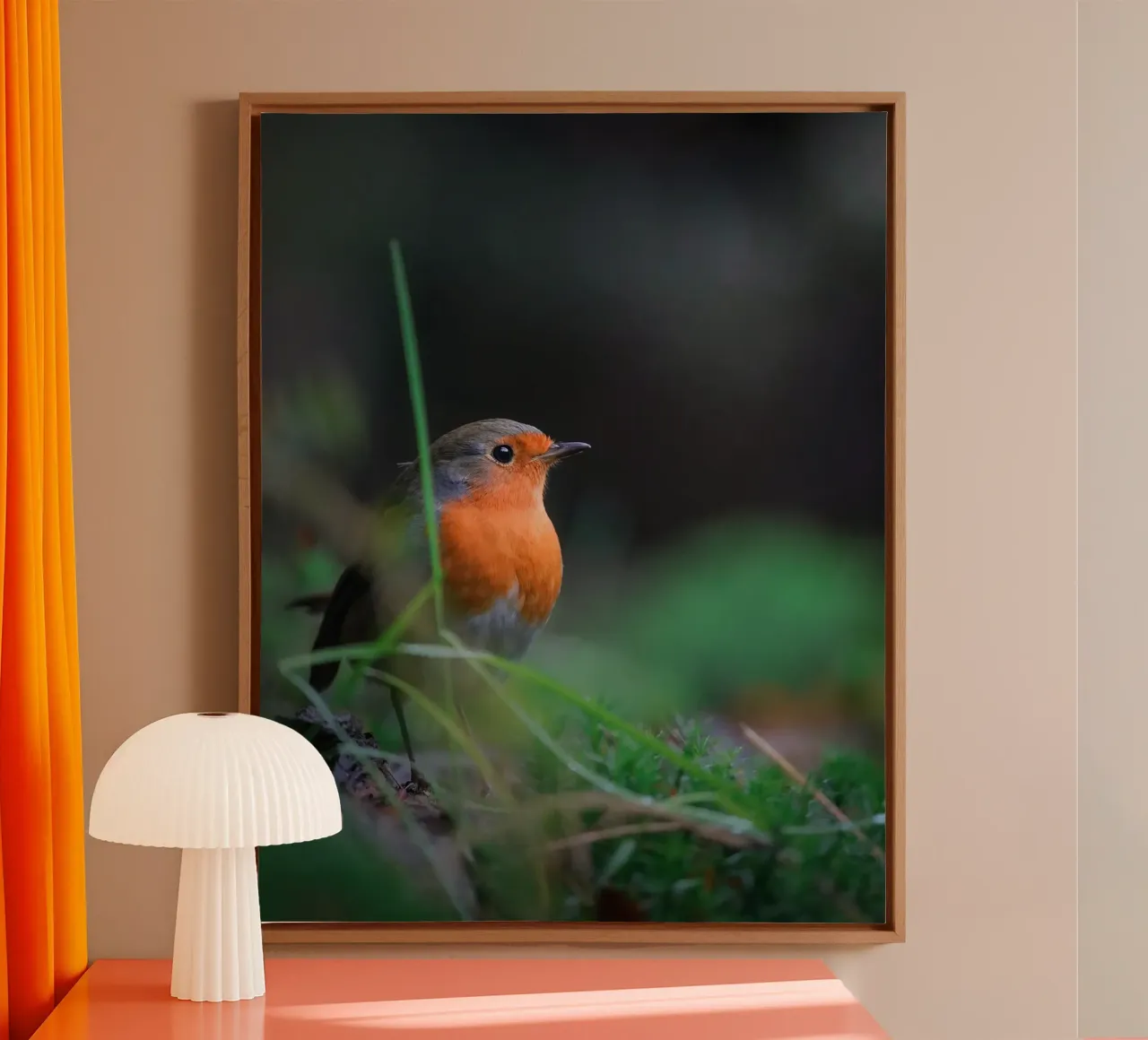 Robin tela con Cornice a cassetta da Tom's Wildlife
