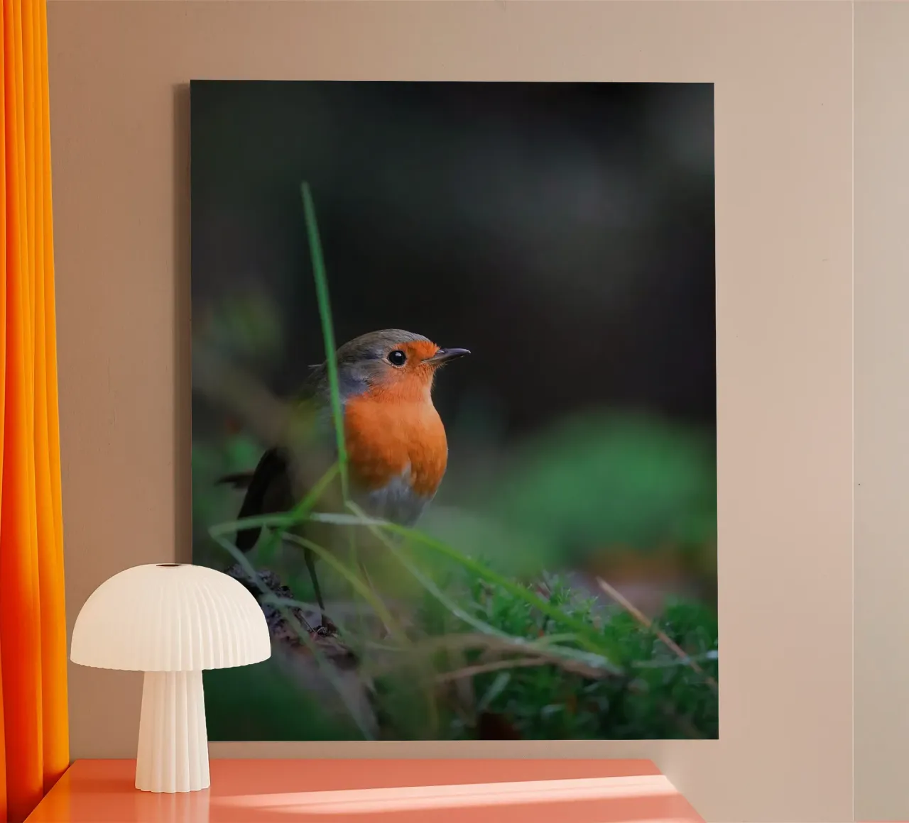 Robin tela con Cornice a cassetta da Tom's Wildlife