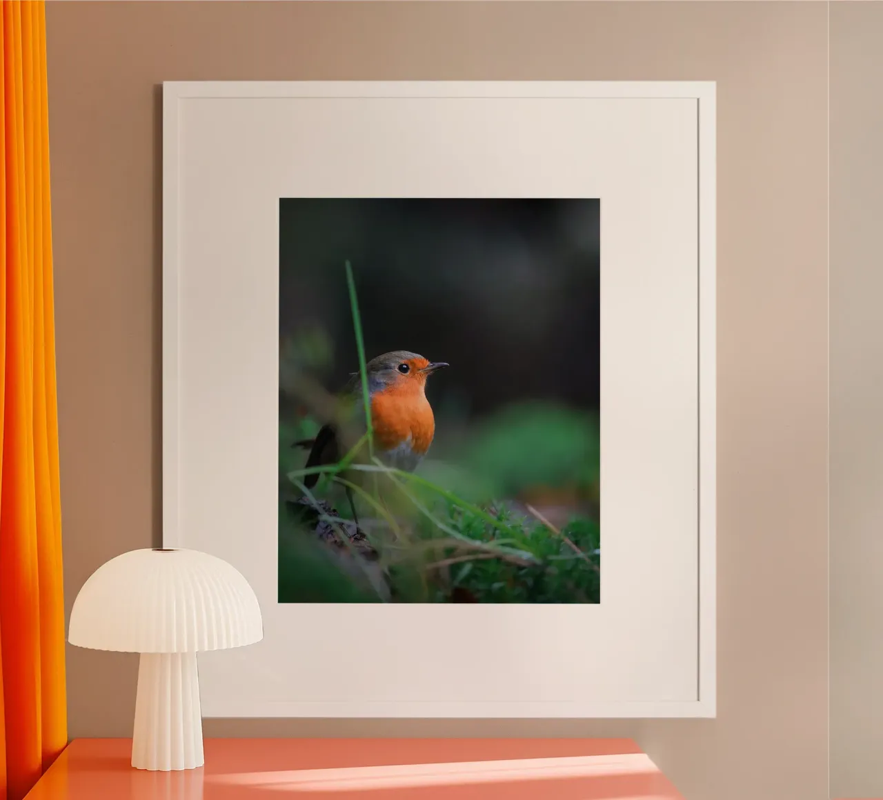 Robin carta hahnemühle da Tom's Wildlife