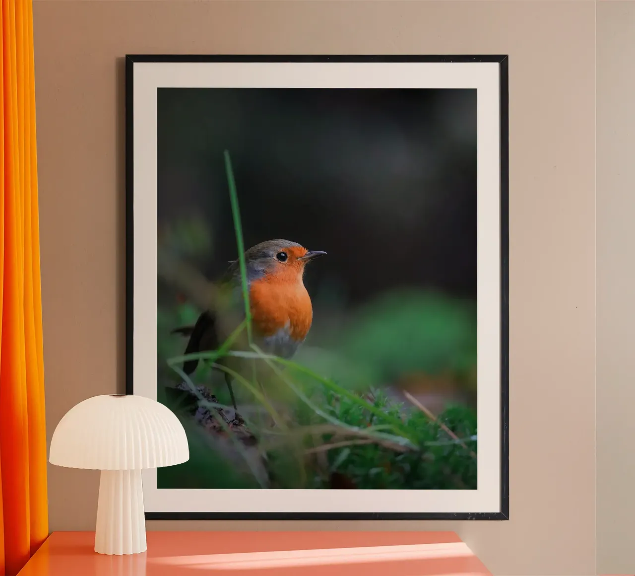 Robin carta hahnemühle da Tom's Wildlife
