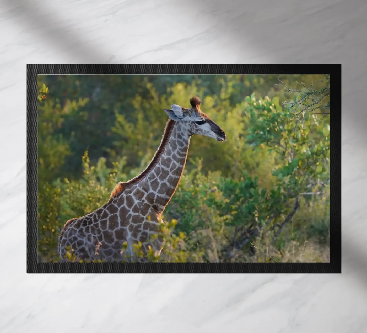 Giraffe young doormat by Tom's Wildlife